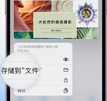 沾益apple维修中心分享iPhone文件应用中存储和找到下载文件