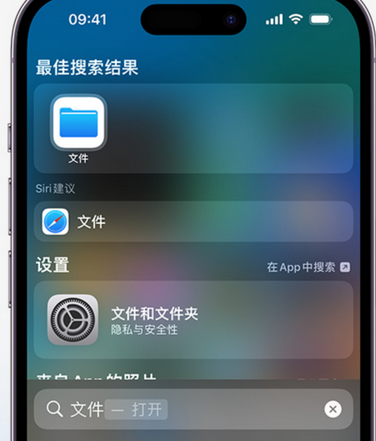 沾益apple维修中心分享iPhone文件应用中存储和找到下载文件 