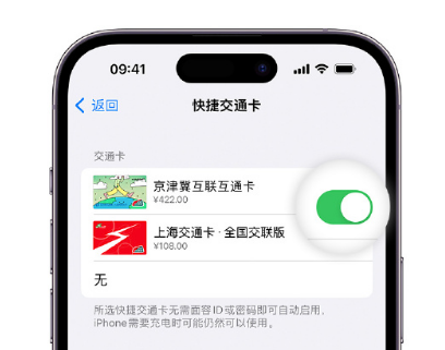 沾益apple维修点分享iPhone上更换Apple Pay快捷交通卡手绘卡面 