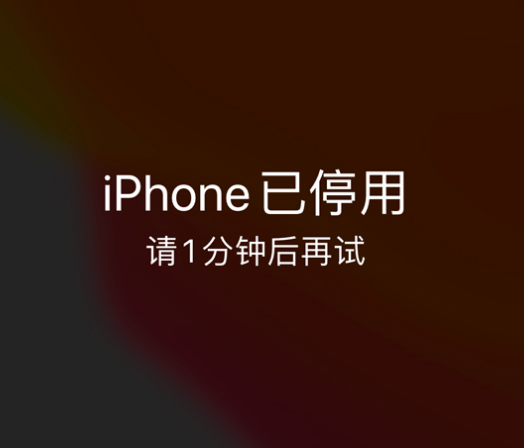 沾益苹果手机维修分享:iPhone 显示“不可用”或“已停用”怎么办？还能保留数据吗？ 