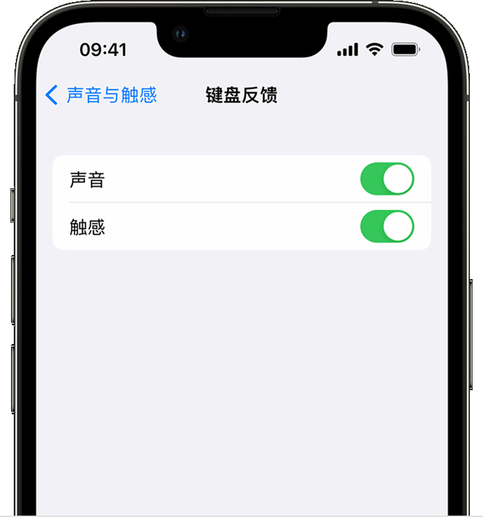 沾益苹果14维修分享iPhone 14 系列机型如何开启键盘声音或触感反馈 