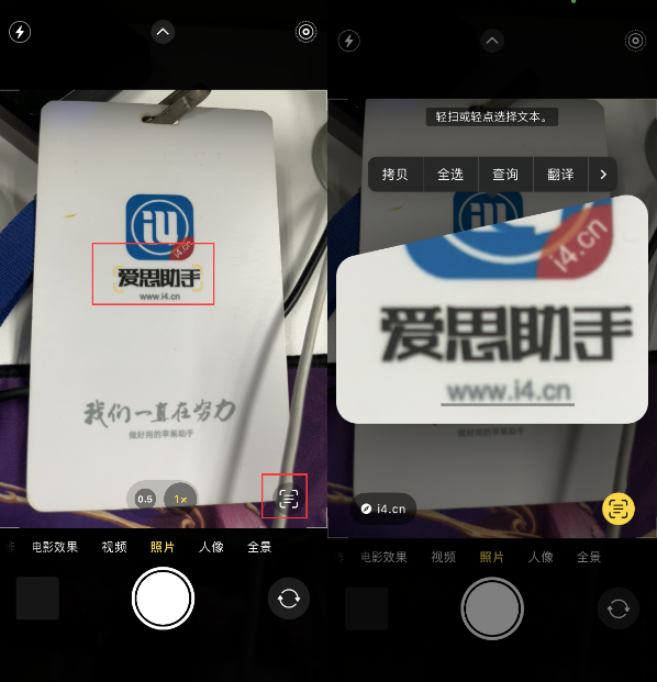 沾益苹果手机维修分享升级iOS 16后如何通过相机翻译文本 