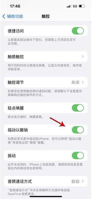 沾益苹果手机维修分享iPhone手机如何设置摇一摇删除文字 