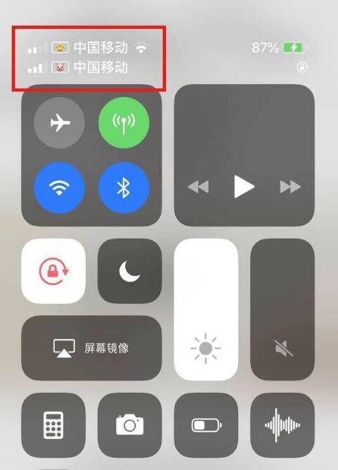 沾益苹果手机维修分享为 iPhone 12 双卡设置标签 
